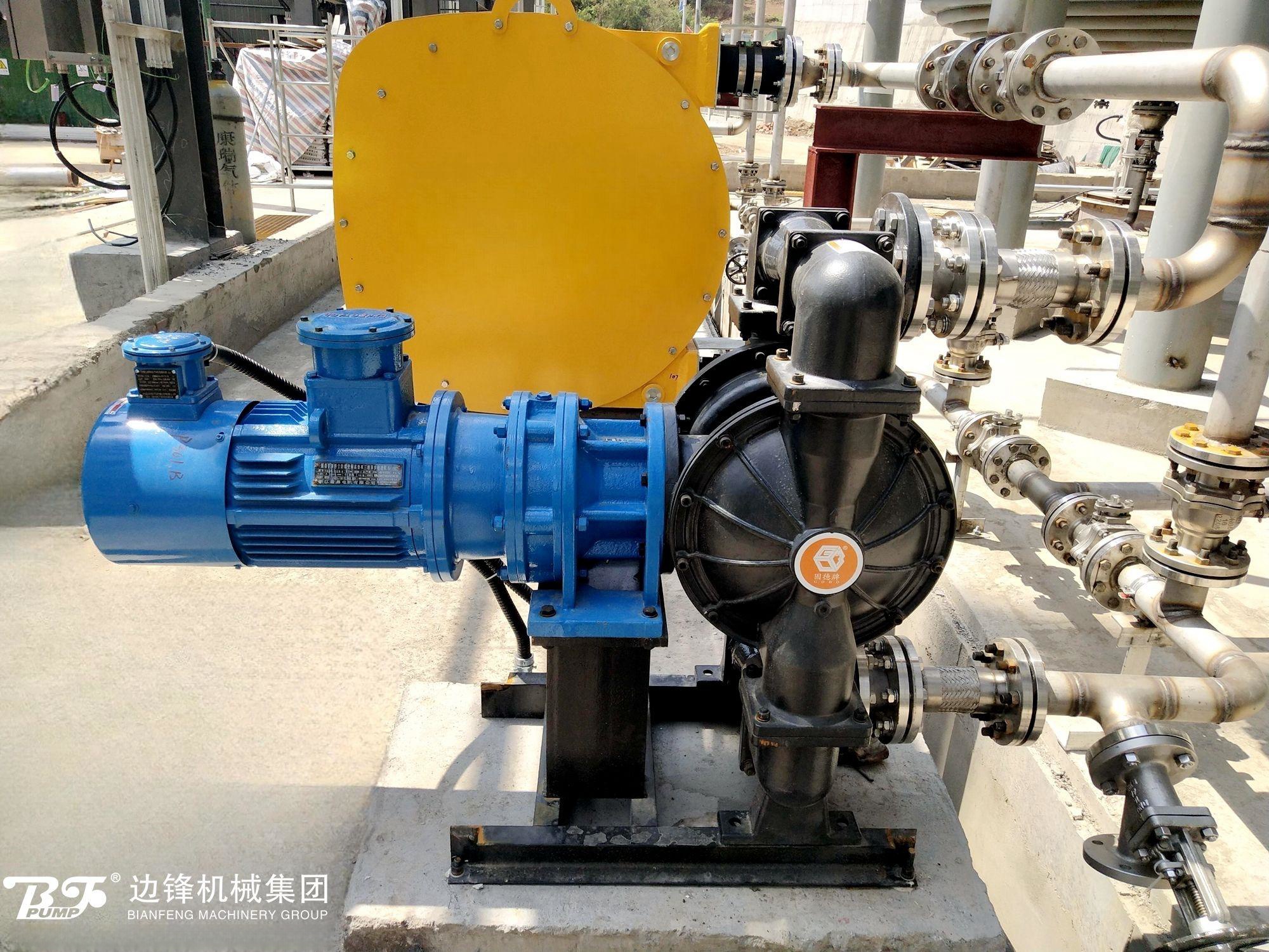 1463 上市企业环保项目进口泵替换应用案例2