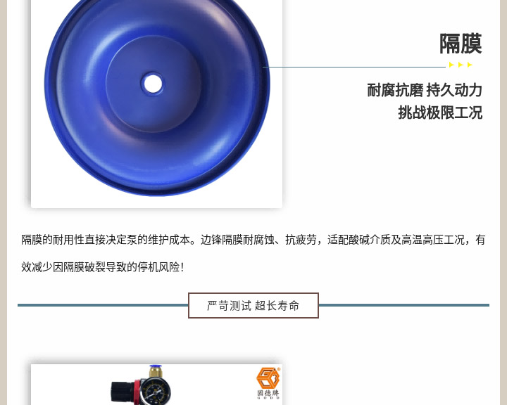 边锋隔膜泵三月精选配件包图五