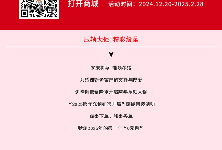 边锋隔膜泵元旦0元购图四