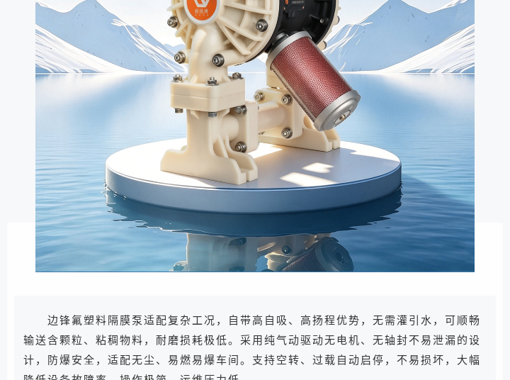 边锋气动隔膜泵BFQ-25FTFF图三