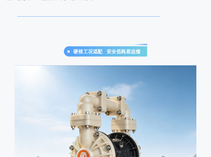 边锋气动隔膜泵BFQ-25FTFF图二