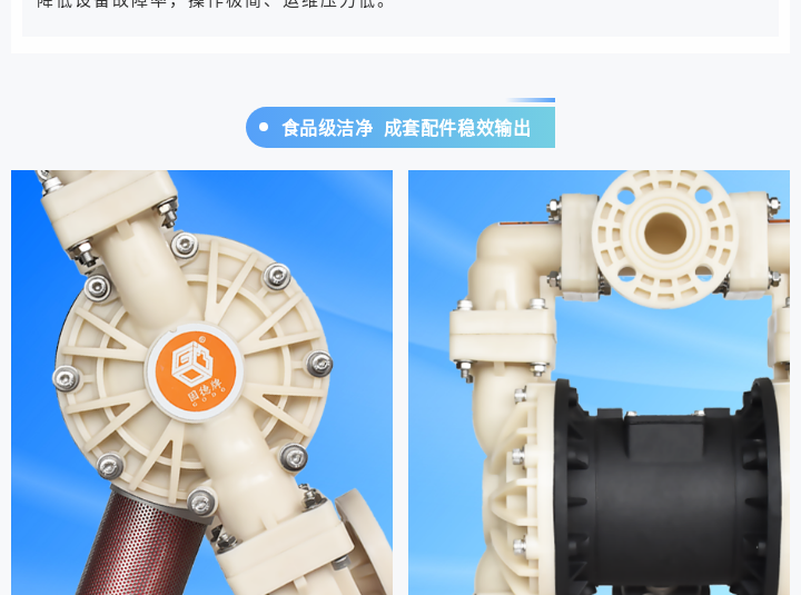 边锋气动隔膜泵BFQ-25FTFF图四