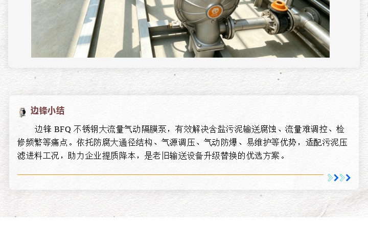 边锋 BFQ 大流量气动隔膜泵图六